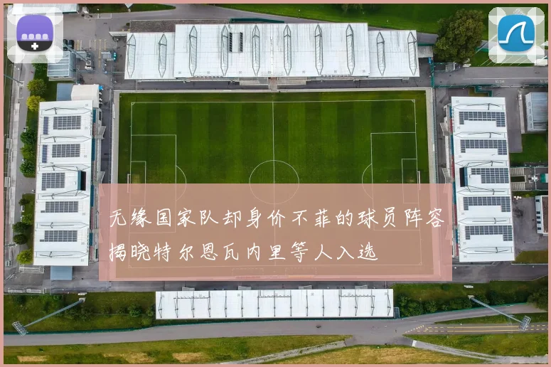 无缘国家队却身价不菲的球员阵容揭晓特尔恩瓦内里等人入选