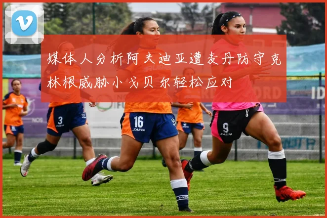 媒体人分析阿夫迪亚遭麦丹防守克林根威胁小戈贝尔轻松应对