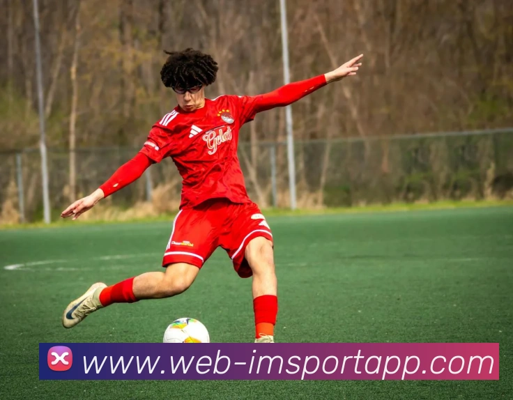 IM体育APP 封面图